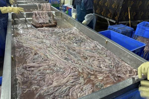 Phát hiện hơn 63 tấn lòng lợn bốc mùi, không rõ nguồn gốc giữa Thủ đô Phát hiện hơn 63 tấn lòng lợn bốc mùi, không rõ nguồn gốc giữa Thủ đô