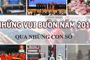 Infographics - Những vui buồn năm 2019 qua những con số