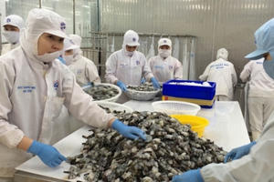 TPHCM: Xuất khẩu của doanh nghiệp FDI giảm sâu