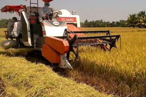 Nam Định: Mâu thuẫn trong lúc gặt lúa, một người tử vong