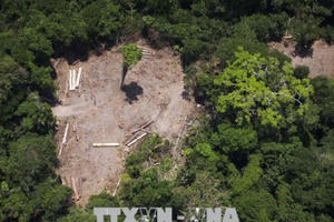 'Lá phổi' Amazon đang bốc cháy 'Lá phổi' Amazon đang bốc cháy