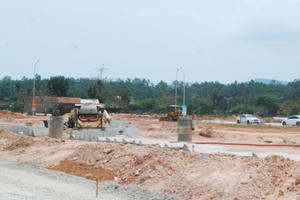 Quảng Ngãi thành lập Hội đồng thẩm định quy hoạch, kế hoạch sử dụng đất