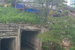 Kênh rạch ô nhiễm, nỗi ám ảnh mùa mưa