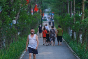 Người Hà Nội thích thú với đường đi bộ rợp cây xanh lãng mạn như phim Hàn