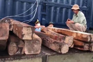 Khởi tố vụ vận chuyển gỗ lậu và đá quý hiếm qua cửa khẩu