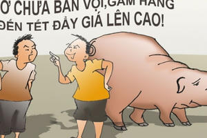 Khi rớt giá thì yêu cầu giải cứu, lúc giá cao thì giở thói găm hàng