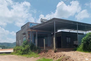 Lâm Đồng: Hai thẩm phán bị tố ra quyết định trái luật