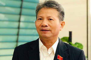 "Phải kiểm soát chặt các dự án thủy điện nhỏ"