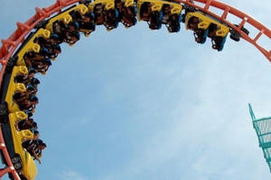 Đu quay giúp chữa khỏi bệnh sỏi thận