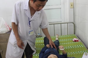 17 học sinh cùng cô giáo mầm non bị ong rừng tấn công