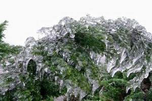 Lạng Sơn: Du khách đổ dồn ngắm nhìn băng tuyết phủ trắng đỉnh Mẫu Sơn