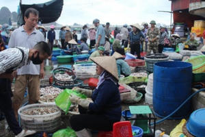 Nhộn nhịp chợ cá Bến Do