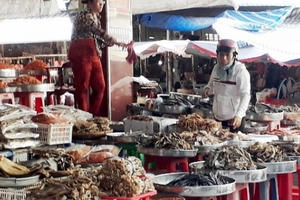 Phát hiện nhiều loại thực phẩm bẩn bày bán ở Cà Mau