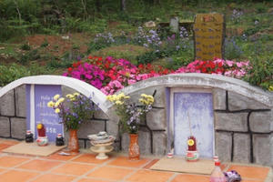 Tình sử bi thương làm nên tuyệt phẩm “Đồi thông hai mộ” Tình sử bi thương làm nên tuyệt phẩm “Đồi thông hai mộ”