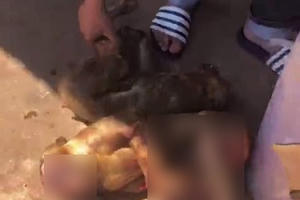 Đắk Lắk: Phát hiện xe khách chở 8 cá thể khỉ