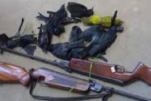 Hải Dương: Dùng súng hơi bắn chim, đạn “đi lạc” trúng đầu cháu bé