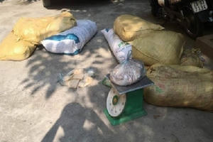 Thủ đô trở thành tụ điểm của hàng tấn thịt thối