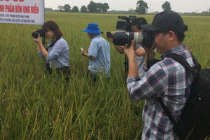 Tôn vinh danh hiệu Nhà nước đối với nhà báo: Mong ước không xa