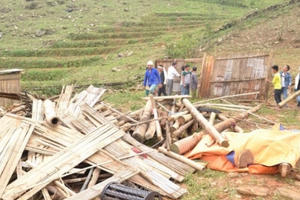 Lào Cai: Giông lốc, mưa đá 1 người chết, nhiều nhà sập