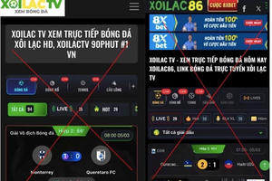 Vụ web lậu Xôi Lạc TV: Khoảng 300 tỉ đồng bị thu giữ, chủ yếu là tiền điện tử
