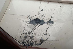 Công an vào cuộc vụ nhà riêng của phóng viên liên tục bị ném chất bẩn