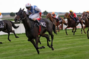 Tin Audio địa ốc 360s: Vĩnh Phúc sẽ xây dựng trường đua ngựa lớn nhất Việt Nam