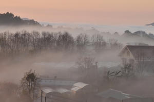 Đắm chìm trong vẻ đẹp kỳ diệu của biển mây Đà Lạt