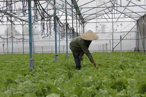 Đồng Nai ứng dụng công nghệ cao vào sản xuất nông nghiệp