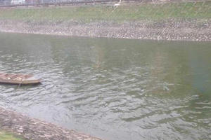 Vì sao nước sông Tô Lịch chuyển màu xanh?