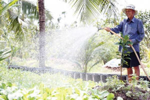 Cuộc sống vườn tược của nguyên Phó thủ tướng Trương Vĩnh Trọng