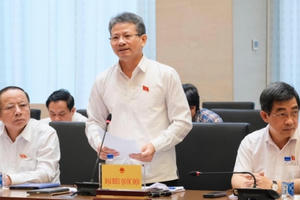 Đại biểu Quốc hội: Phải kiểm soát chặt các dự án thủy điện nhỏ