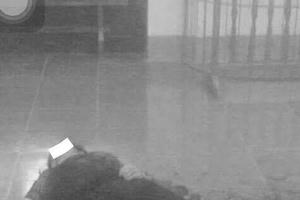 Phú Tho: Chồng đâm gục vợ nằm trên vùng máu khi ra tòa giải quyết li hôn Phú Tho: Chồng đâm gục vợ nằm trên vùng máu khi ra tòa giải quyết li hôn