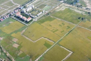 Bắc Ninh: "Cò đất" rao bán rầm rộ Dự án Khu nhà ở thôn Đông Yên khi vẫn là đất ruộng