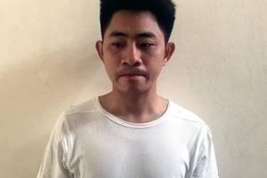 Thuê xe cẩu để trộm ô tô rồi mang đi bán sắt vụn