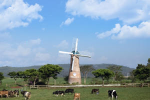 Vinamilk và những bước đi chiến lược trong 30 năm phát triển ngành chăn nuôi bò sữa