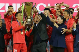 Hình ảnh không quên: ĐT Việt Nam vô địch AFF Cup 2 năm trước