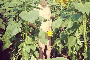 Nam thanh niên chụp ảnh khỏa thân phản cảm ở cánh đồng hoa hướng dương