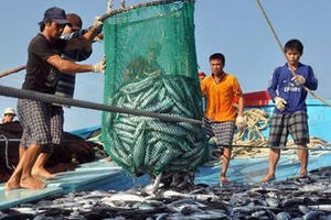 Nghề nghiệp và luật pháp