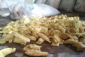 Phát hiện 12 tấn măng ngâm hóa chất nhuộm vải