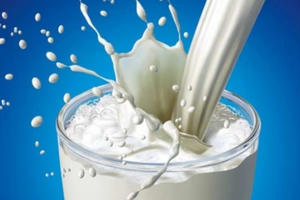 Hà Nội mở Gói thầu Mua sữa học đường hơn 4.000 tỷ