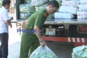 Nghệ An: Phát hiện và bắt giữ hơn 8 tấn rau quả không rõ nguồn gốc