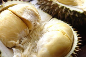 Cách lựa chọn Sầu Riêng không sử dụng chất ép chín, chất bảo quản