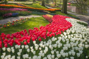 Cảnh quan lạ lẫm ở vườn hoa đẹp nhất thế giới khi… không người ghé thăm