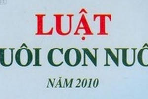 Gỡ vướng trong rà soát, lập danh sách trẻ làm con nuôi