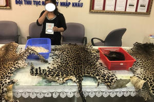 TP HCM: Phát hiện vụ vận chuyển đuôi voi, da báo gấm qua sân bay