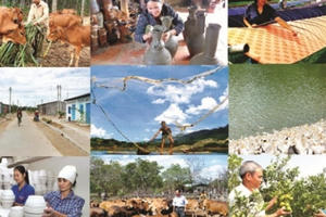 Thiếu vốn cho chương trình giải quyết việc làm