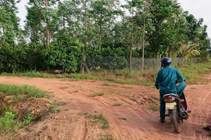 Đất rừng bị xà xẻo mua bán trái phép tại tỉnh Đắk Lắk