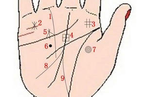 9 đường chỉ tay giúp thăng quan, giàu sang trọn đời