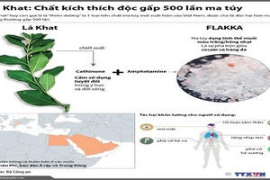 Bổ sung “cỏ Mỹ”, “lá Khat” vào danh mục chất ma túy