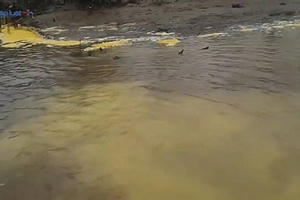 Thái Bình: Cá tôm sông Diêm Hộ bị tận diệt vì nguồn nước ô nhiễm nặng, dân kêu cứu khẩn cấp